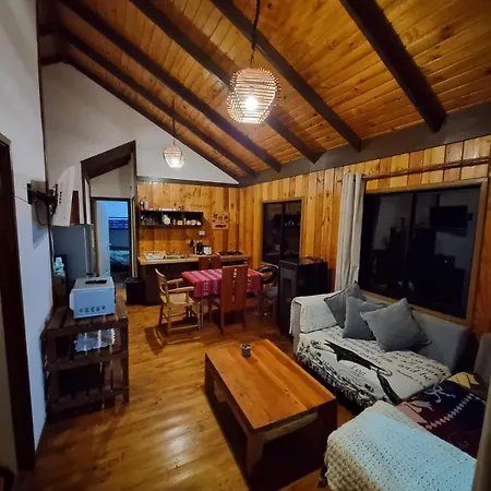 Cabanas Altos De Pino Huacho Valdivia Exterior photo