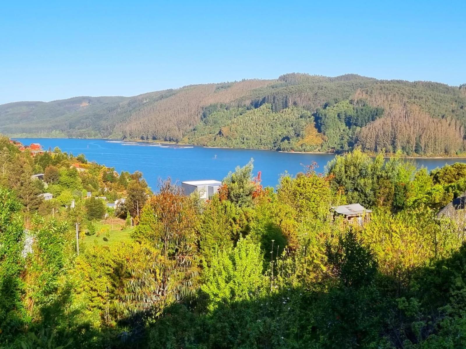 Altos De Pino Huacho Valdivia